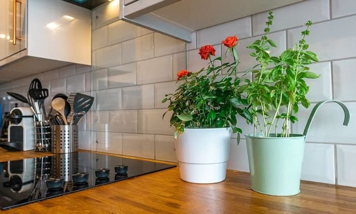 ideas for kitchen countertop decor