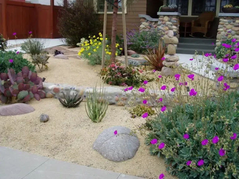 Decomposed Granite Demystified All You Need to Know