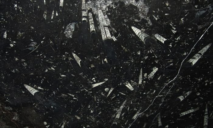 black marble