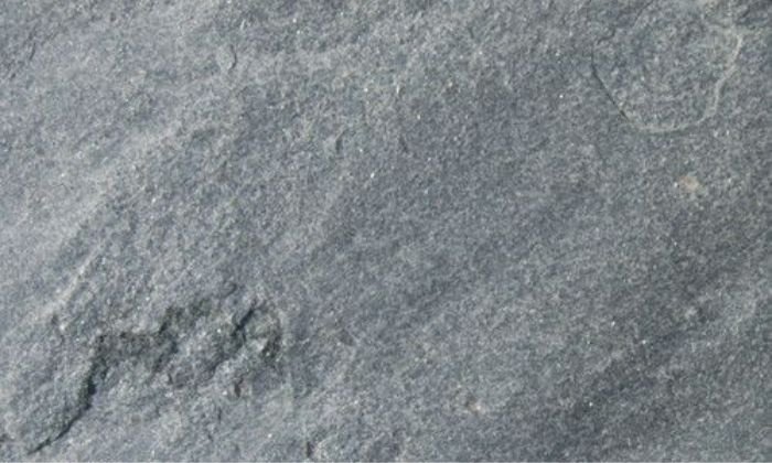 Gray Quartzite